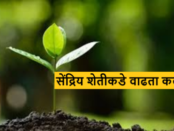 Organic Farming : शेतकरी ते ग्राहक थेट विक्री, गोंदियातील शेतकऱ्यांना सेंद्रिय शेतीची भुरळ  - Marathi News | Latest News Organic Farming Farmer to consumer direct sales, snediry sheti to farmers in Gondia  | Latest News at Lokmat.com