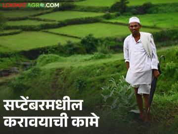 संत्रा पीक नियोजनाचे बहार अनुरूप सप्टेंबरमधील वेळापत्रक, वाचा सविस्तर  - Marathi News | Orange crop planning schedule for September according to spring, read in detail | Latest News at Lokmat.com संत्रा पीक नियोजनाचे बहार अनुरूप सप्टेंबरमधील वेळापत्रक, वाचा सविस्तर  - Marathi News | Orange crop planning schedule for September according to spring, read in detail | Latest News at Lokmat.com