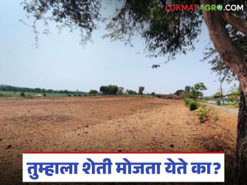 मोबाईलचा वापर करून शेत जमीन मोजता येईल, ते कसं, जाणून घ्या सोप्या शब्दांत 