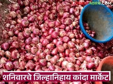 सोलापूर मार्केटमध्ये घसरले, लासलगाव, अहिल्यानगर कांदा मार्केटमध्ये काय दर मिळाले? - Marathi News | Latest News kanda Market Onion market prices in Solapur, Lasalgaon, Pune on November 15 | Latest News at Lokmat.com सोलापूर मार्केटमध्ये घसरले, लासलगाव, अहिल्यानगर कांदा मार्केटमध्ये काय दर मिळाले? - Marathi News | Latest News kanda Market Onion market prices in Solapur, Lasalgaon, Pune on November 15 | Latest News at Lokmat.com