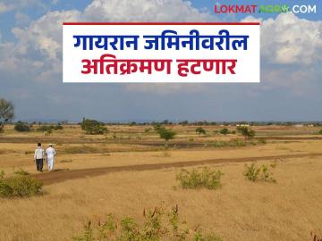 Gayran Jamin : राज्यातील गायरान जमिनींबाबत महत्वाचा शासन निर्णय आला, वाचा सविस्तर  - Marathi News | Latest news gaiyran Jamin Important government decision regarding gairan jamin in maharashtra read in detail | Latest News at Lokmat.com