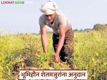 भूमिहीन शेतमजुरांच्या अनुदान योजनेचा निधी आला, पहा जिल्हानिहाय किती रुपये मिळणार! - Marathi News | Latest News Funds for the grant scheme for landless agricultural laborers have arrived, see district-wise anudan | Latest News at Lokmat.com