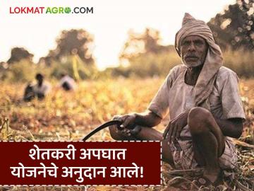 शेतकरी अपघात योजनेच्या 31 कोटींच्या निधी वाटपास मान्यता, 'या' प्रस्तावांना मिळणार अनुदान - Marathi News | Latest News Approval for allocation of funds of Rs 31 crore for the Farmers Accident Scheme | Latest farming-ideas News at Lokmat.com