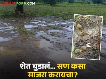 Kharif Crop Damage : शेती उद्ध्वस्त, कर्जाचा बोजा अन् सणांवर काळे ढग वाचा शेतकऱ्यांची व्यथा - Marathi News | latest news Kharif Crop Damage: Agriculture destroyed, debt burden and dark clouds over festivals Read the pain of farmers | Latest News at Lokmat.com Kharif Crop Damage : शेती उद्ध्वस्त, कर्जाचा बोजा अन् सणांवर काळे ढग वाचा शेतकऱ्यांची व्यथा - Marathi News | latest news Kharif Crop Damage: Agriculture destroyed, debt burden and dark clouds over festivals Read the pain of farmers | Latest News at Lokmat.com