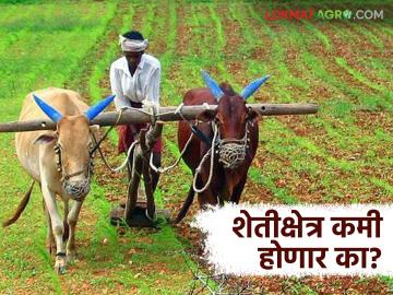 Shet Jamin: शेतजमीन कमी होण्याचे काय आहे कारण; जाणून घ्या सविस्तर - Marathi News | Shet Jamin: What is the reason for the decrease in agricultural land; Know in detail | Latest News at Lokmat.com
