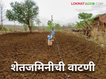 Shetjamin Vatani : शेतजमिनीची वाटणी नेमकी कशी केली जाते? जाणून घ्या सविस्तर - Marathi News | Latest News Jamin Vatani How exactly is agricultural land distributed in family Find out in detail | Latest News at Lokmat.com Shetjamin Vatani : शेतजमिनीची वाटणी नेमकी कशी केली जाते? जाणून घ्या सविस्तर - Marathi News | Latest News Jamin Vatani How exactly is agricultural land distributed in family Find out in detail | Latest News at Lokmat.com