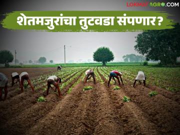 VBG RAMJI Scheme : शेतमजुरांचा तुटवडा संपणार? 'व्हीबीजी रामजी'मुळे शेतीला मजूर उपलब्ध - Marathi News | latest news VBG RAMJI Scheme: Will the shortage of agricultural laborers end? 'VBG Ramji' will provide laborers for agriculture | Latest News at Lokmat.com