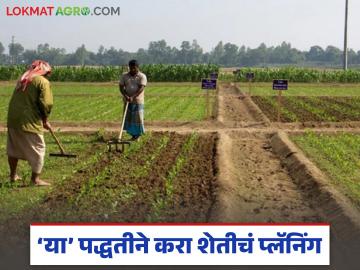 Agriculture Planning Tips : शेतकऱ्यांनो, संकटे आहेतच; 'या' पद्धतीने करा शेतीचं प्लॅनिंग - Marathi News | latest news Agriculture Planning Tips: Farmers, there are crises; Plan your agriculture in this way | Latest News at Lokmat.com Agriculture Planning Tips : शेतकऱ्यांनो, संकटे आहेतच; 'या' पद्धतीने करा शेतीचं प्लॅनिंग - Marathi News | latest news Agriculture Planning Tips: Farmers, there are crises; Plan your agriculture in this way | Latest News at Lokmat.com