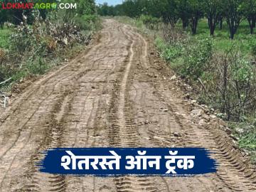 Shet Pandan Raste Yojana : शेतमाल वाहतूक सुलभ होणार; बीडमध्ये रस्त्यांचे काम मार्गी वाचा सविस्तर - Marathi News | latest news Shet Pandan Raste Yojana: Transport of agricultural goods will be easier; Road work underway in Beed Read in detail | Latest News at Lokmat.com