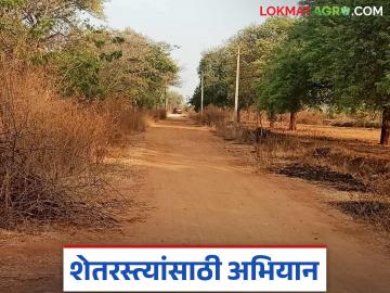 शेतकऱ्यांना शेतरस्ता मिळवून देण्यासाठी मंगळवेढ्याच्या तहसीलदारांनी सुरु केलं हे नवं अभियान; काय आहे? वाचा सविस्तर - Marathi News | The Tehsildar of Mangalvedha has started this new campaign to provide agricultural land roads to farmers; What is it? Read in detail | Latest News at Lokmat.com