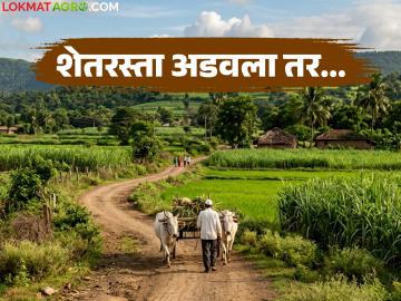 शेतरस्त्यावर अतिक्रमण किंवा शेतरस्ता आडवणे पडणार महागात; होणार आता 'ही' शिक्षा - Marathi News | Encroachment on farm road or obstruction of farm road will be costly; 'this' punishment will now be imposed | Latest News at Lokmat.com शेतरस्त्यावर अतिक्रमण किंवा शेतरस्ता आडवणे पडणार महागात; होणार आता 'ही' शिक्षा - Marathi News | Encroachment on farm road or obstruction of farm road will be costly; 'this' punishment will now be imposed | Latest News at Lokmat.com