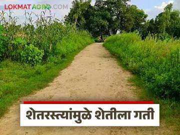 Shet Pandan Raste Yojana : शेतात जाण्याचा मार्ग मोकळा; 'या' तालुक्यात शेतरस्त्यांना वेग वाचा सविस्तर - Marathi News | latest news Shet Pandan Raste Yojana: The way to the fields is open; Farmers in 'this' taluka are encouraged to read in detail | Latest News at Lokmat.com