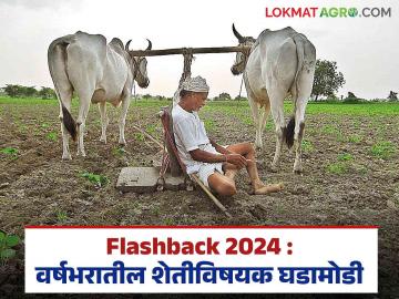 Flashback 2024 : कांदा निर्यात बंदी मागे घेण्यापासून किसान आंदोलनापर्यंत, 2024 मध्ये काय-काय घडलं? - Marathi News | Latest News flashback 2024 major news event in agriculture sector in 2024 see details | Latest News at Lokmat.com Flashback 2024 : कांदा निर्यात बंदी मागे घेण्यापासून किसान आंदोलनापर्यंत, 2024 मध्ये काय-काय घडलं? - Marathi News | Latest News flashback 2024 major news event in agriculture sector in 2024 see details | Latest News at Lokmat.com