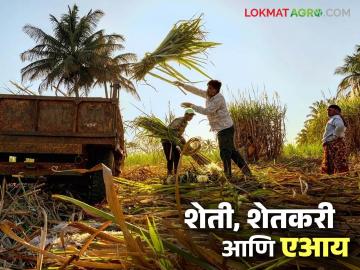 एआय शेती, शेतकऱ्यांसाठी फायद्याचं आहे का, AI मूळ शेती बदलू शकते का? वाचा सविस्तर  - Marathi News | Latest news AI farming beneficial for farmers, can AI replace traditional farming Read in detail | Latest News at Lokmat.com