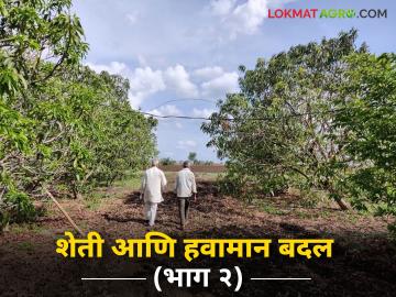 NABARD: 'हवामान सुसंगत शेती'साठी १४ गावांत विशेष प्रकल्प वाचा सविस्तर - Marathi News | NABARD: Special projects in 14 villages for 'climate-resilient agriculture' Read in detail | Latest News at Lokmat.com