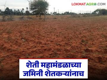 शेती महामंडळाच्या साडेसहा हजार एकर जमिनीचा निर्णय; जमीन मूळ मालक शेतकऱ्यांनाच द्यावी - Marathi News | Decision on six and a half thousand acres of agricultural corporation land; Land should be given to the original owners, farmers only | Latest News at Lokmat.com