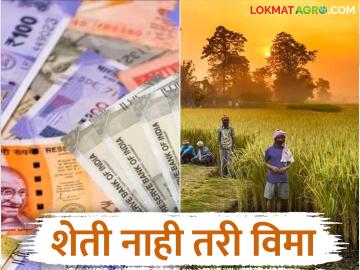 Banavat Pik Vima : बनावट पिक विमा उतरवणारांचे जाळे राज्याबाहेरही; कडक कारवाईचे आदेश - Marathi News | Banavat Pik Vima : Fake crop insurance companies are spreading outside the state; Strict action ordered | Latest News at Lokmat.com