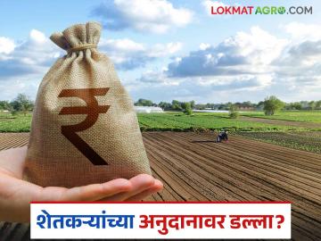 Anudan Vatap Ghotala : शेतकरी अनुदान घोटाळा उघड; काय आहे प्रकरण जाणून घ्या सविस्तर - Marathi News | latest news Anudan Vatap Ghotala: Farmer subsidy scam exposed; Know what the case is in detail | Latest News at Lokmat.com Anudan Vatap Ghotala : शेतकरी अनुदान घोटाळा उघड; काय आहे प्रकरण जाणून घ्या सविस्तर - Marathi News | latest news Anudan Vatap Ghotala: Farmer subsidy scam exposed; Know what the case is in detail | Latest News at Lokmat.com