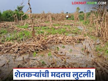 Anudan Vatap Ghotala : शेतकरी अनुदान घोटाळा अपडेट; २२ तलाठ्यांसह २८ जणांवर गुन्हा दाखल वाचा सविस्तर - Marathi News | latest news Anudan Vatap Ghotala: Farmer subsidy scam update; Case registered against 28 people including 22 Talathis Read in detail | Latest News at Lokmat.com