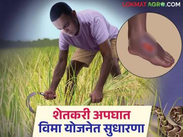 गोपीनाथ मुंडे शेतकरी अपघात योजनेच्या अनुदानात वाढ होऊन हे मोठे बदल होण्याची शक्यता - Marathi News | This major change is likely to happen with the increase in subsidy of Gopinath Munde Shetkari Accident Yojana | Latest News at Lokmat.com