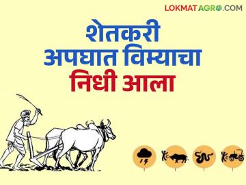 शेतकरी अपघात अनुदान योजनेसाठी ४० कोटी रुपयांचा निधी मंजूर; वारसांना मिळणार पैसे - Marathi News | Fund of Rs 40 crore approved for farmers accident subsidy scheme; Farmers' heirs will get money | Latest News at Lokmat.com