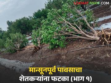 Avakali Paus: पावसाने फक्त माती नाही ओली केली, तर स्वप्नंही भिजवली! वाचा सविस्तर - Marathi News | latest news Avakali Paus: The rain not only moistened the soil, but also soaked dreams! Read in detail | Latest News at Lokmat.com