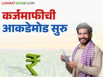 कर्जमाफीसाठी राज्यातील बँकांकडून आकडेमोड सुरू; राज्य सरकारने बँकांना दिले 'हे' आदेश - Marathi News | Banks in the state are starting to calculate the figures for loan waiver; Did the state government give 'this' order to the banks | Latest News at Lokmat.com कर्जमाफीसाठी राज्यातील बँकांकडून आकडेमोड सुरू; राज्य सरकारने बँकांना दिले 'हे' आदेश - Marathi News | Banks in the state are starting to calculate the figures for loan waiver; Did the state government give 'this' order to the banks | Latest News at Lokmat.com