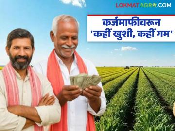 Shetkari Karjmafi Yojana : कर्जमाफीची घोषणा; पण शेतकरी म्हणतात- आम्हाला काय मिळाले? - Marathi News | latest news Shetkari Karjmafi Yojana: Loan waiver announced; But farmers say – what did we get? | Latest News at Lokmat.com Shetkari Karjmafi Yojana : कर्जमाफीची घोषणा; पण शेतकरी म्हणतात- आम्हाला काय मिळाले? - Marathi News | latest news Shetkari Karjmafi Yojana: Loan waiver announced; But farmers say – what did we get? | Latest News at Lokmat.com