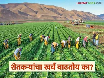 Agricultural Literacy : अनभिज्ञता अन् शेतकऱ्यांची लूट; 'शेती साक्षरता' काळाची गरज वाचा सविस्तर - Marathi News | latest news Agricultural Literacy: Ignorance and looting of farmers; 'Agricultural literacy' is the need of the hour Read in detail | Latest News at Lokmat.com