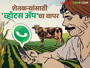 कृषी योजनांची माहिती पोहोचविण्यासाठी गावोगावी होणार व्हॉट्सअॅप ग्रुप - Marathi News | WhatsApp groups will be created in every village to disseminate information about agricultural schemes. | Latest News at Lokmat.com