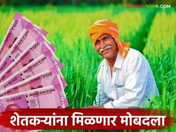 Agriculture News: अकोला जिल्ह्यातील शेतकऱ्यांचा असा होणार फायदा वाचा सविस्तर - Marathi News | Agriculture News: Farmers of Akola district will benefit in this way, read in detail | Latest News at Lokmat.com