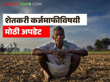 शेतकरी कर्जमाफीविषयी मोठी अपडेट, 'या' शेतकऱ्यांना कर्जमाफी मिळणार नाही, मंत्री बावनकुळे म्हणाले - Marathi News | Latest News shetkari Karjmafi 'these' farmers will not get loan waiver says minister bawankule read in detail | Latest News at Lokmat.com