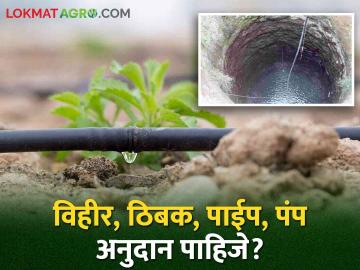 Shetkari Yojana शेतकऱ्यांनो.. ह्या योजनांसाठी करा अर्ज मिळेल अडीच लाखांपर्यंतचे अनुदान - Marathi News | Shetkari Yojana: Farmers.. Apply for these schemes and you will get subsidy of up to two and a half lakhs | Latest News at Lokmat.com