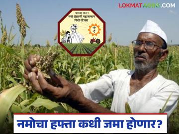 नमो शेतकरी योजनेतुन अनेक शेतकऱ्यांचे पत्ते कट, आठवा हफ्ता 'या' तारखेला मिळू शकतो? 