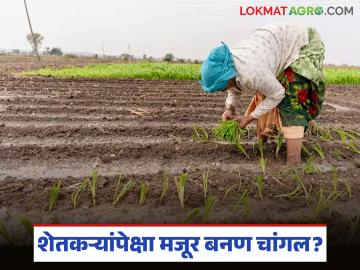कष्ट करण्याची तयारी असेल तरच शेती करायची अन्यथा.... शेतकऱ्यांवर कोणतं संकट ओढवलंय?  - Marathi News | Latest news agriculture Sector farming Only do farming if you are prepared to work hard | Latest farming-ideas News at Lokmat.com