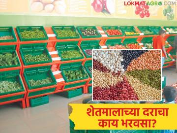 PMFME Scheme Benefits : शेतमालाच्या दराचा नाही भरवसा; 'या' योजनेतून शेतकरी बनतायत उद्योजक वाचा सविस्तर - Marathi News | latest news PMFME Scheme Benefits: No confidence in the price of agricultural products; Farmers become entrepreneurs through 'this' scheme Read in detail | Latest News at Lokmat.com PMFME Scheme Benefits : शेतमालाच्या दराचा नाही भरवसा; 'या' योजनेतून शेतकरी बनतायत उद्योजक वाचा सविस्तर - Marathi News | latest news PMFME Scheme Benefits: No confidence in the price of agricultural products; Farmers become entrepreneurs through 'this' scheme Read in detail | Latest News at Lokmat.com