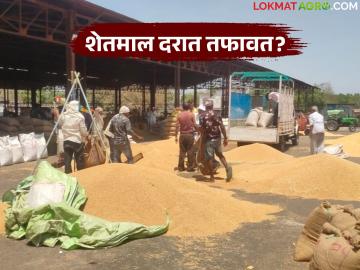 Market Committee : व्यापाऱ्यांचे संगनमत? धान्याच्या किमान व कमाल दरात मोठी तफावत! वाचा सविस्तर - Marathi News | latest news Market Committee: Traders' collusion? Big difference in minimum and maximum prices of grains! Read in detail | Latest News at Lokmat.com