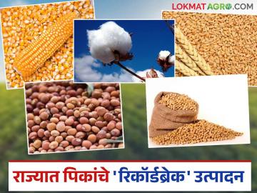 Shetmal Production : राज्यात पिकांचे 'रिकॉर्डब्रेक' उत्पादन; पण दराची चिंता कायम वाचा सविस्तर - Marathi News | latest news Shetmal Production: 'Record-breaking' crop production in the state; But price concerns remain Read in detail | Latest News at Lokmat.com Shetmal Production : राज्यात पिकांचे 'रिकॉर्डब्रेक' उत्पादन; पण दराची चिंता कायम वाचा सविस्तर - Marathi News | latest news Shetmal Production: 'Record-breaking' crop production in the state; But price concerns remain Read in detail | Latest News at Lokmat.com