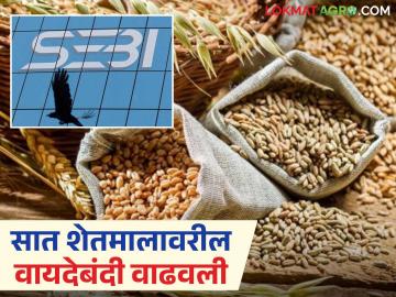 Vayde Bajar Ban : 'या' सात शेतमालावरील वायदेबंदी 2026 पर्यंत वाढवली, जाणून घ्या सविस्तर - Marathi News | Latest news vayde Bajar moratorium on these seven agricultural commodities has been extended until 2026 by sebi know the details. | Latest News at Lokmat.com