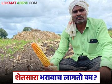 किती आणेवारी असल्यावर शेतसारा माफ होतो अन् शेतसारा नाही भरला तर...  - Marathi News | Latest news Shet Sara Land tax is a type of tax that farmers have to pay to the government on agricultural land | Latest News at Lokmat.com