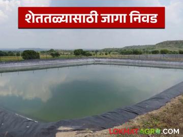Shet tale : शेततळे बांधायचे असेल तर, जागा कशी असायला हवी? जाणून घ्या सविस्तर  - Marathi News | Latest News Shet tale What to keep in mind while choosing a place for farm pond | Latest News at Lokmat.com
