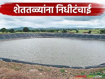 यंदा शेततळ्याच्या निधीतील एकही रुपया खर्च केलेला नाही, सरकारनेच दिली कबुली - Marathi News | Latest News Shettale Yojana Zero percent funds distributed for the individual farm pond scheme. | Latest News at Lokmat.com यंदा शेततळ्याच्या निधीतील एकही रुपया खर्च केलेला नाही, सरकारनेच दिली कबुली - Marathi News | Latest News Shettale Yojana Zero percent funds distributed for the individual farm pond scheme. | Latest News at Lokmat.com