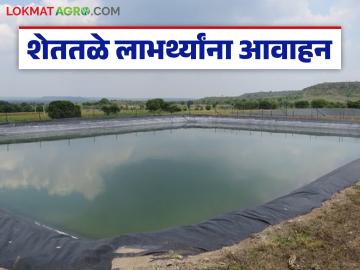 शेततळे योजनेच्या लाभार्थ्यांना कागदपत्रे अपलोड करण्याचे आवाहन, वाचा सविस्तर - Marathi News | Latest News Appeal to beneficiaries of Shettale scheme to upload documents, read in detail | Latest News at Lokmat.com शेततळे योजनेच्या लाभार्थ्यांना कागदपत्रे अपलोड करण्याचे आवाहन, वाचा सविस्तर - Marathi News | Latest News Appeal to beneficiaries of Shettale scheme to upload documents, read in detail | Latest News at Lokmat.com