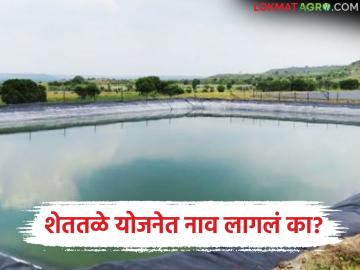 Mukhyamantri Shashwat Sinchan Yojana : शेततळ्यासाठी ७५ हजारांची मदत; 'या' शेतकऱ्यांची यादी जाहीर, वाचा सविस्तर - Marathi News | latest news Mukhyamantri Shashwat Sinchan Yojana: 75 thousand rupees assistance for farm ponds; List of 'these' farmers announced, read in detail | Latest News at Lokmat.com