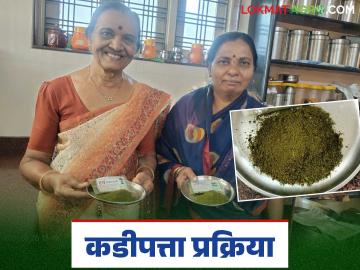Lakhpati Didi : लखपती दीदींची शेवगा, कढीपत्ता चटणी झाली फेमस; वाचा सविस्तर - Marathi News | Lakhpati Didi : Lakhpati Didi's Shevga, curryleaf leaf chutney became famous; Read in detail | Latest News at Lokmat.com Lakhpati Didi : लखपती दीदींची शेवगा, कढीपत्ता चटणी झाली फेमस; वाचा सविस्तर - Marathi News | Lakhpati Didi : Lakhpati Didi's Shevga, curryleaf leaf chutney became famous; Read in detail | Latest News at Lokmat.com