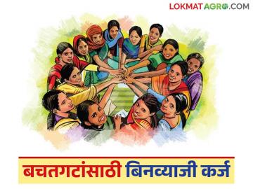 सरकारतर्फे महिलांना मिळणार पाच लाख रुपयांचे बिनव्याजी कर्ज; काय आहे योजना? जाणून घ्या सविस्तर - Marathi News | Women will get interest-free loan of Rs 5 lakh from the government; What is the scheme? Know in detail | Latest News at Lokmat.com