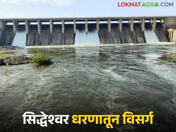 Siddheshwar Dam Water : सिद्धेश्वर धरणातून कोणत्याही क्षणी विसर्ग; नदीकाठच्या गावांना अलर्ट - Marathi News | latest news Siddheshwar Dam Water: Release from Siddheshwar Dam at any moment; Alert to villages along the river | Latest News at Lokmat.com Siddheshwar Dam Water : सिद्धेश्वर धरणातून कोणत्याही क्षणी विसर्ग; नदीकाठच्या गावांना अलर्ट - Marathi News | latest news Siddheshwar Dam Water: Release from Siddheshwar Dam at any moment; Alert to villages along the river | Latest News at Lokmat.com