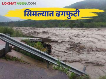 Weather Update : देशात १९ राज्यांत मुसळधार पावसाचा इशारा - Marathi News | Weather Update: Heavy rain warning in 19 states of the country | Latest News at Lokmat.com