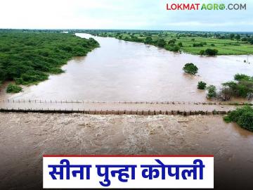 Sina Mahapur : पुन्हा महापूर; सीना नदीत १ लाख ३५ हजारांचा विसर्ग, नदीकाठी सतर्कतेचा इशारा - Marathi News | Sina Mahapur : Another major flood; 1 lakh 35 thousand water discharged into Sina river, alert issued to villagers along the riverbanks | Latest News at Lokmat.com Sina Mahapur : पुन्हा महापूर; सीना नदीत १ लाख ३५ हजारांचा विसर्ग, नदीकाठी सतर्कतेचा इशारा - Marathi News | Sina Mahapur : Another major flood; 1 lakh 35 thousand water discharged into Sina river, alert issued to villagers along the riverbanks | Latest News at Lokmat.com