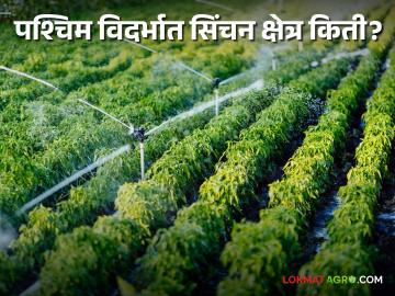 Irrigation News : पश्चिम विदर्भातील सिंचित क्षेत्र किती; लागवड क्षेत्र किती?  - Marathi News | Irrigation News : How much irrigated area in West Vidarbha; How much planting area?  | Latest News at Lokmat.com